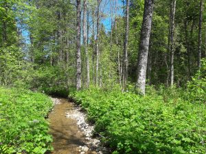Ruisseau des Epoisats