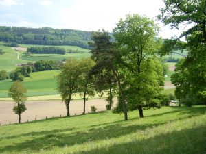 Paysage agricole