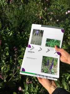 Guide entretien différencié