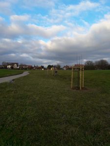 Plantation d'un verger